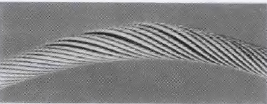 5a584fc71062d.png 7.png